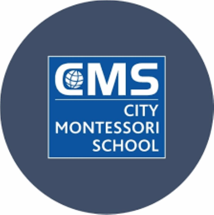 Top 10 Best Schools in Gomti Nagar - City Montessori School